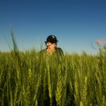 Home A man with a cap stands in a lush wheat field against a clear blue sky.